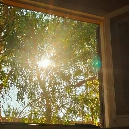 Bed and Breakfast A&S House Siwa Oasis Екстер'єр фото